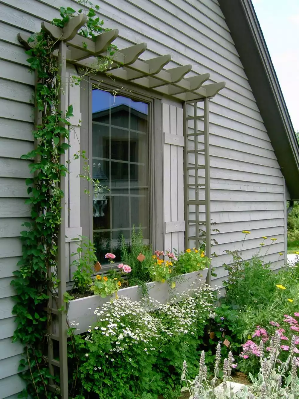 Trellis and window plant box