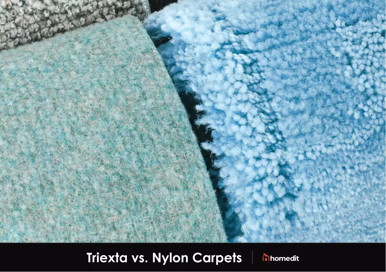 Triexta vs. Nylon Carpets: Which is Better?