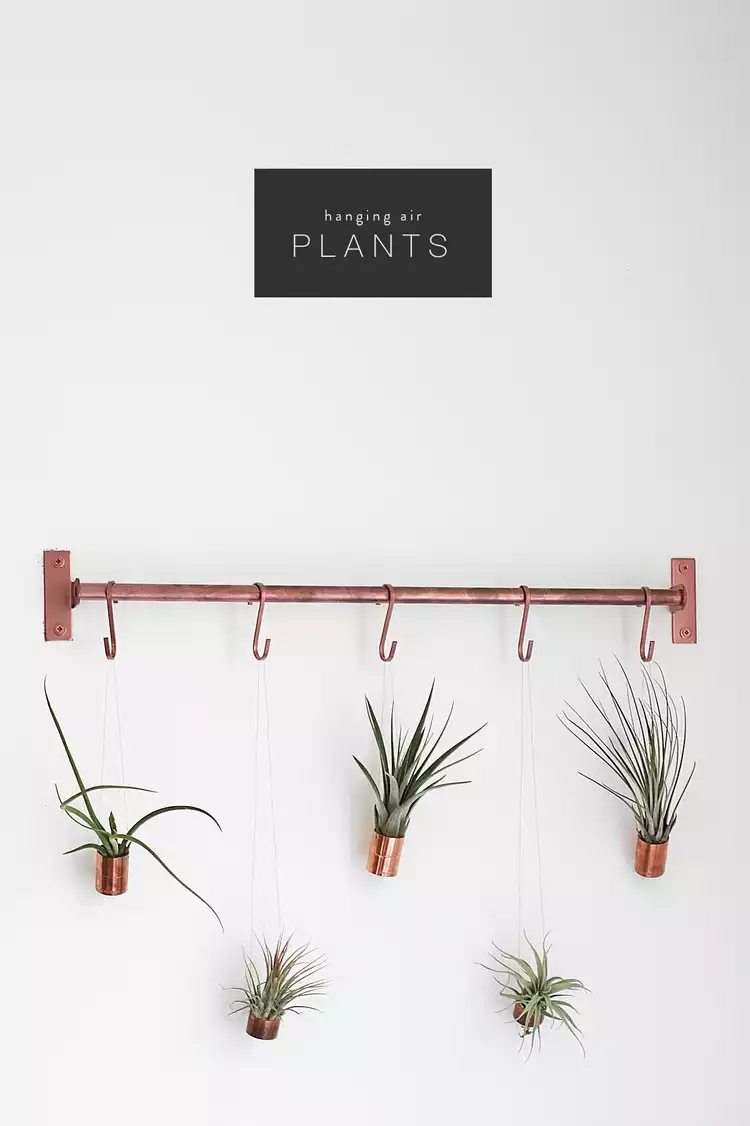 Urban copper hanging pots