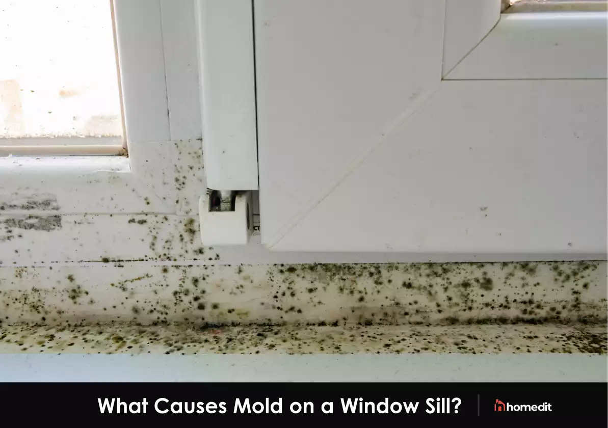 How to Clean and Prevent Mold on Your Window sill