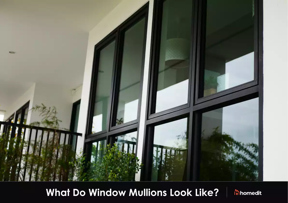 What are Window Mullions?