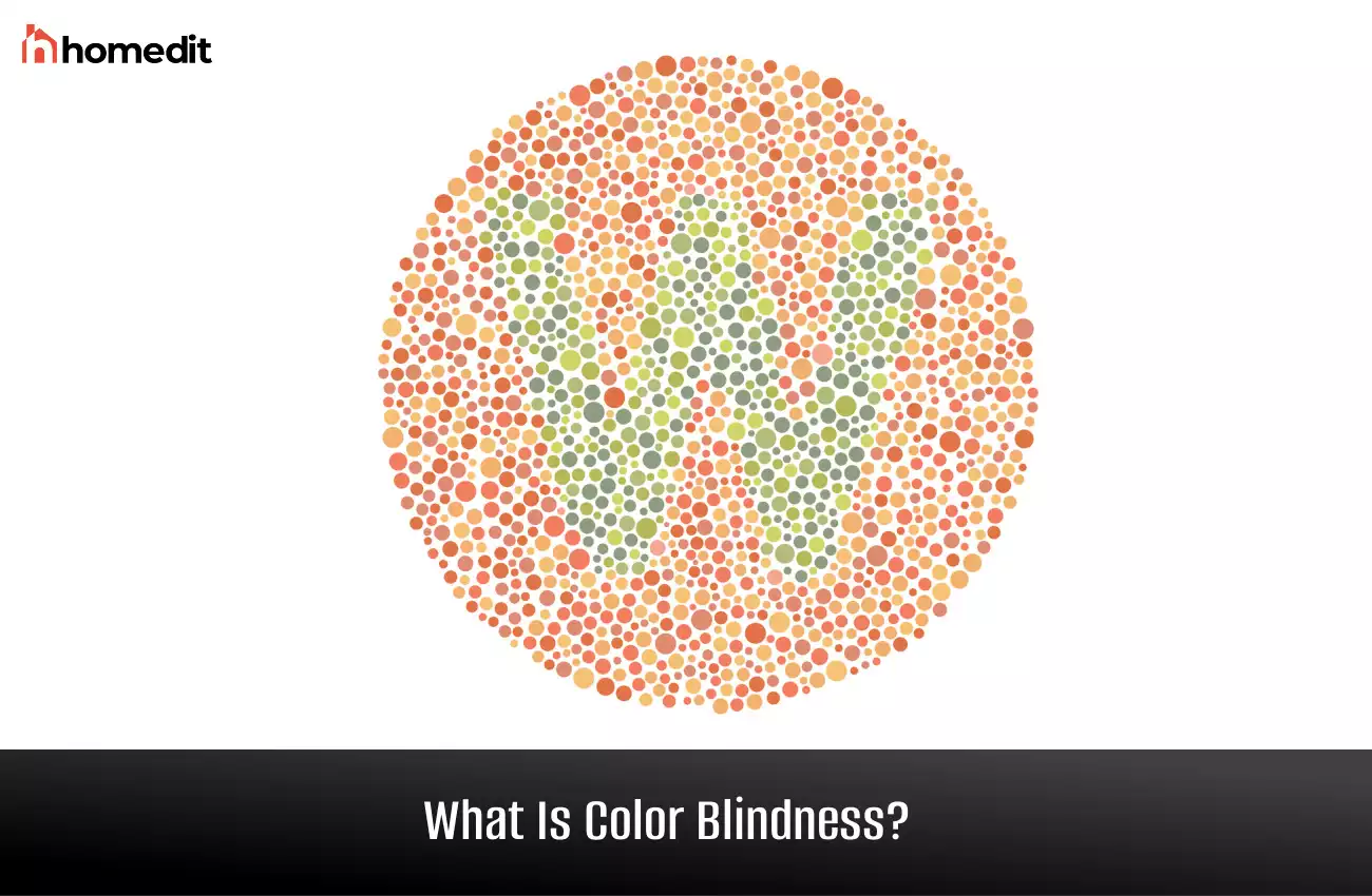 Color Blindness: How the Eye Perceives Color