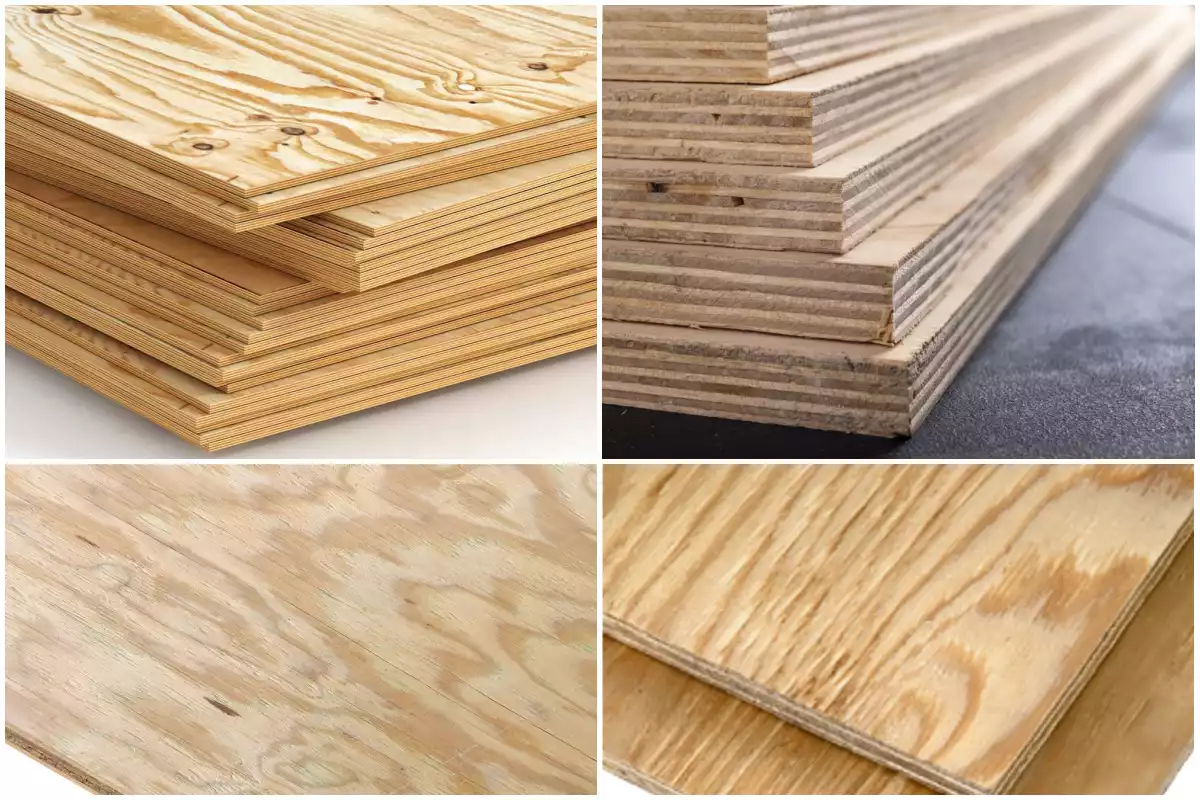 What is CDX Plywood