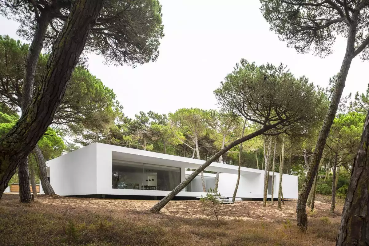 White Residence in Colares