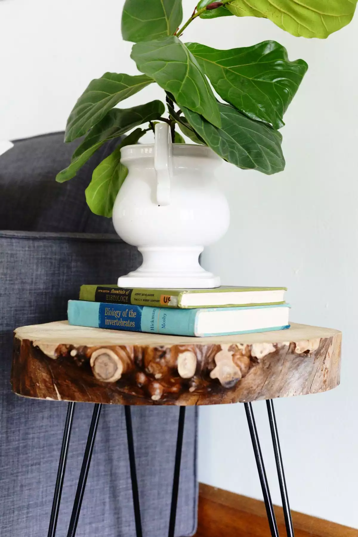 Wood Log Side Table With Hairpin Legs