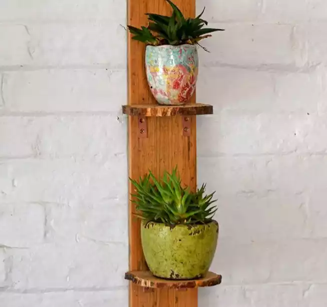 Wood slice wall shelves
