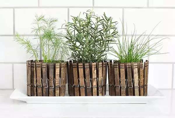 Clothespin herb1