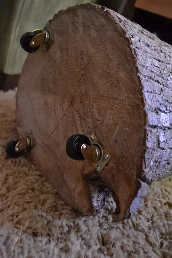 Easy DIY Projects You Can Do With Tree Trunks