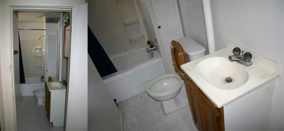 Downstairs bathroom reno before