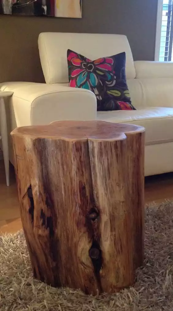 each tree stump is unique