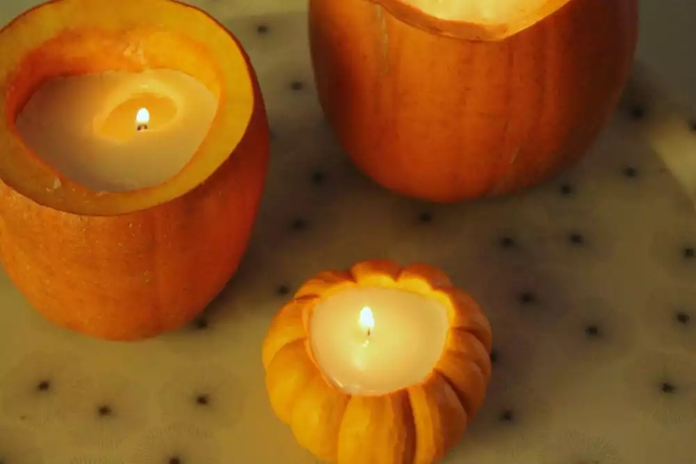 festive and seasonal pumpkin seed