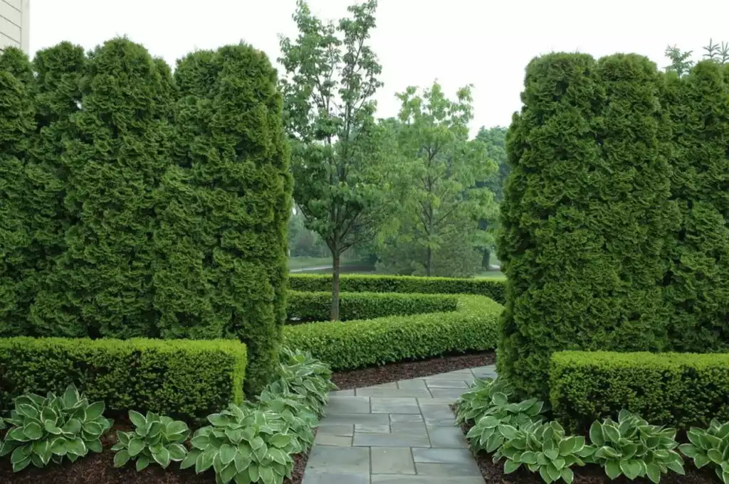 Garden with hedges 1024x681