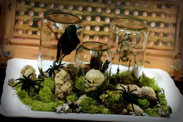 make spooky terrariums with mason jars