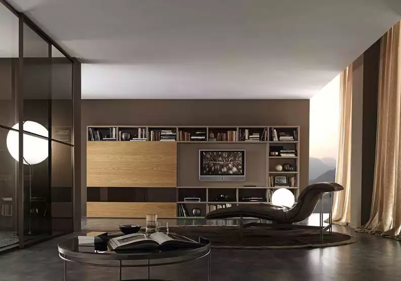 Modern brown living room