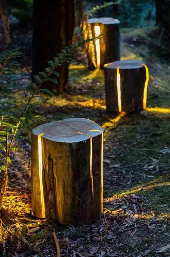 modern wood logs stump with light