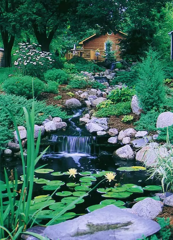 Nature backyard natural lake