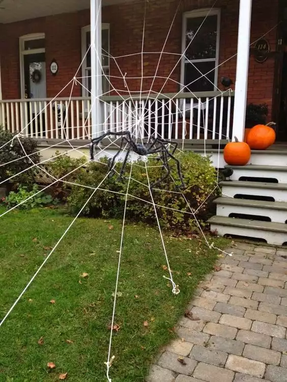 outdoor front house spider web