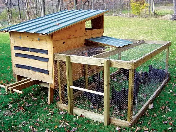 Small chicken coop 1