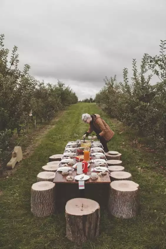 Ingenious Projects That Turn Wood Logs Into Outdoor Furniture