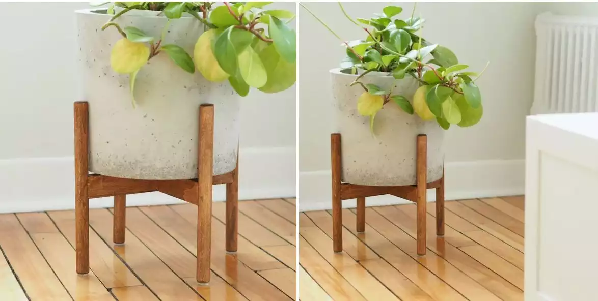 A plant stand for your favorite indoor greenery