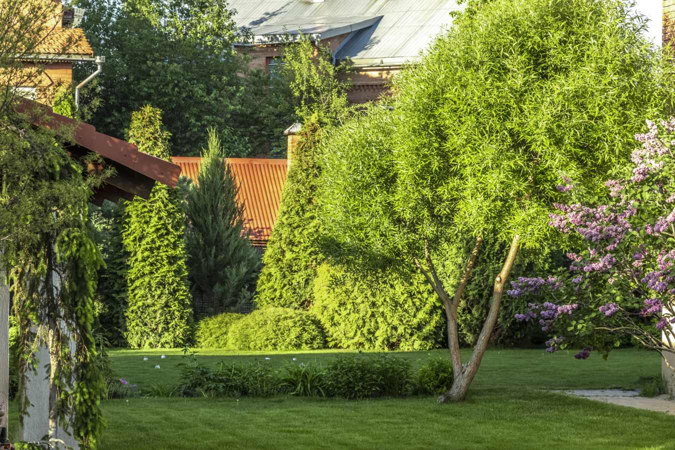 Low Maintenance Varieties Of Privacy Trees