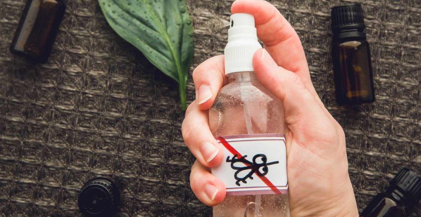 Homemade Bug Spray – Natural, Non-Toxic and Effective