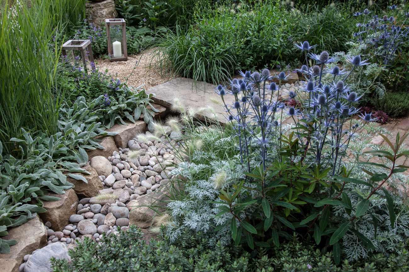 Different plants and river rocks