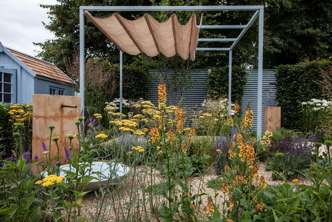 Pergola greenery plants