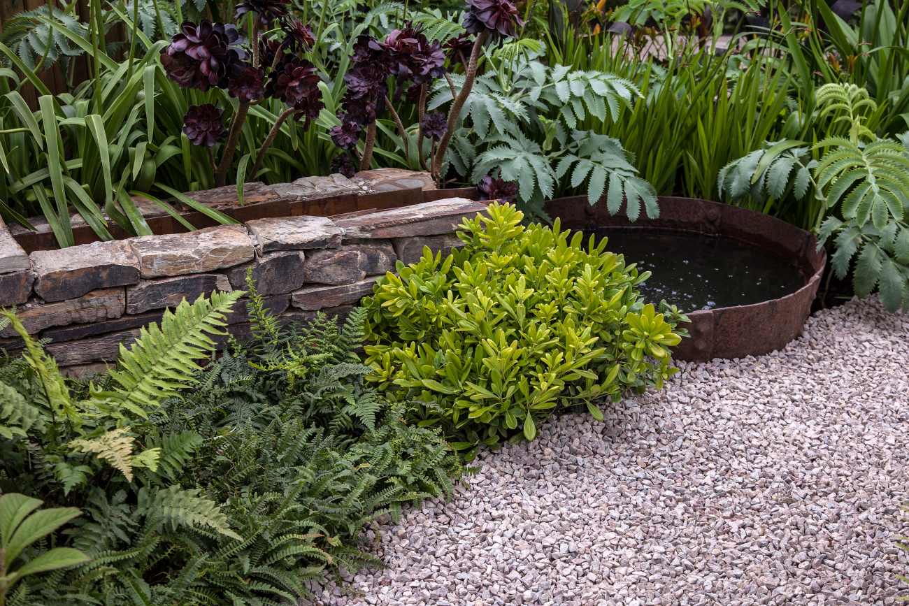 Water feature garden