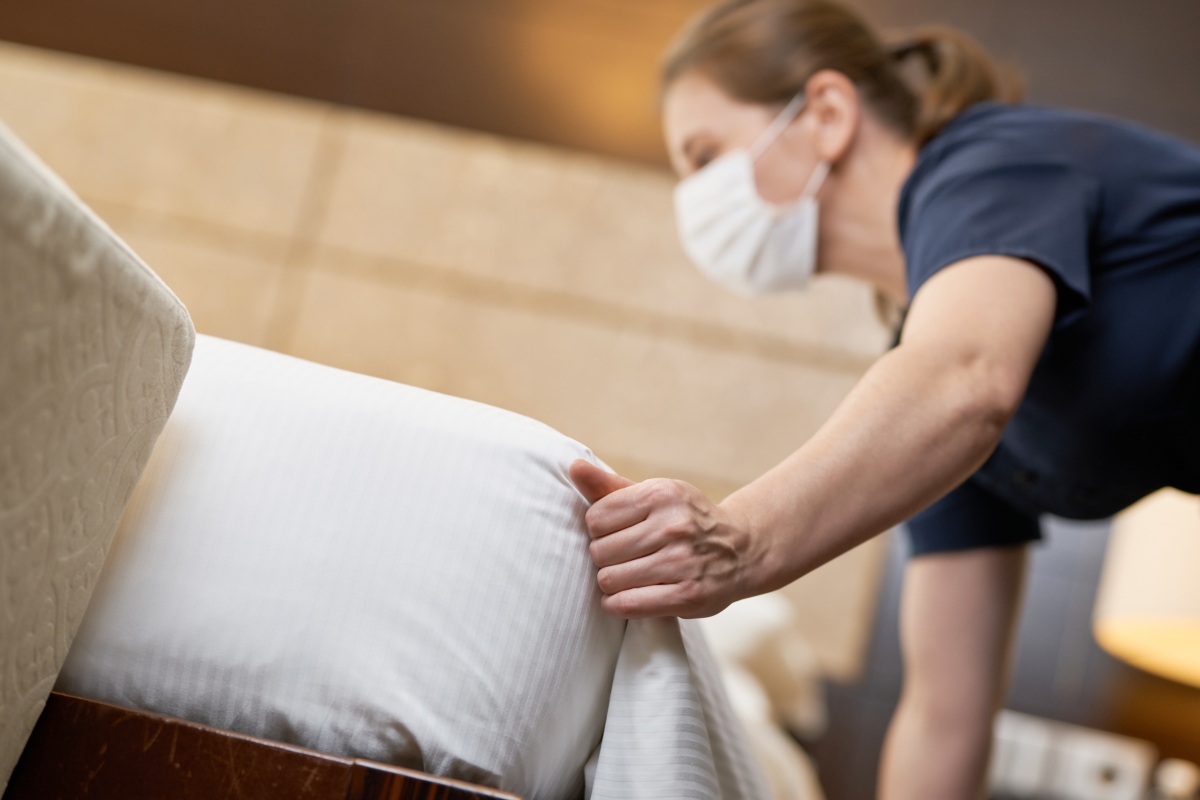 How You Can Get Rid of Bed Bugs Permanently