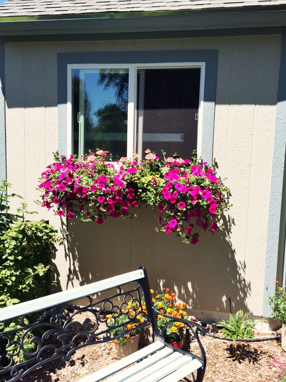 Install new flower window boxes