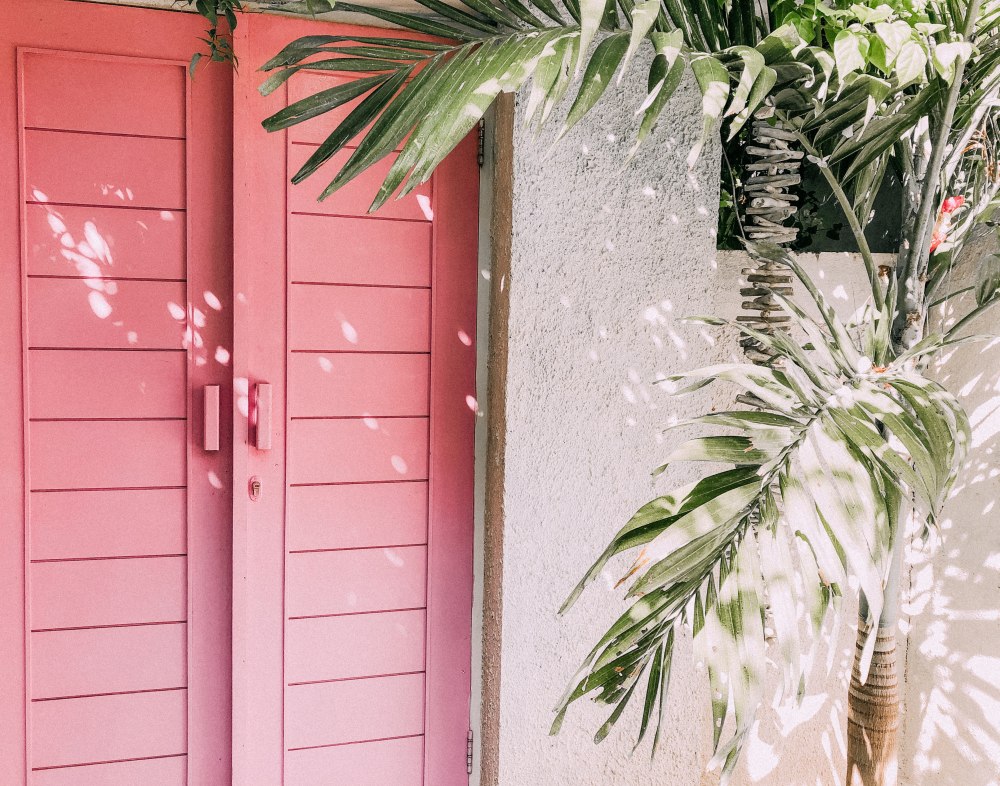 Pink front door